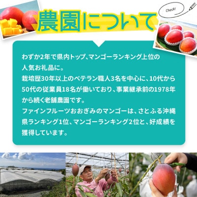 【2026年6月から順次発送・農園直送!】農園一番人気の完熟アップルマンゴー秀品 約2.0kg