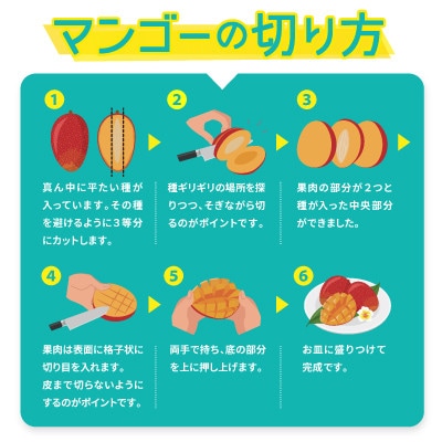 【2026年6月から順次発送・農園直送!】農園一番人気の完熟アップルマンゴー秀品 約2.0kg