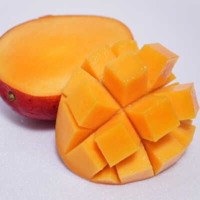 【2025年発送・家庭用】完熟アップルマンゴー 優品2kg(4～6玉)