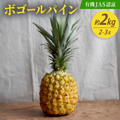 【有機JAS認証】ボゴールパイン 約2kg(2～3玉)