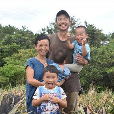 【有機JAS認証】Nパイン 約3kg(2～4玉)