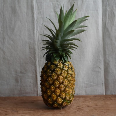 【有機JAS認証】ゴールドバレル 約3kg(2～4玉)