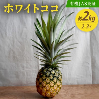 【有機JAS認証】ホワイトココ 約2kg(2～3玉)