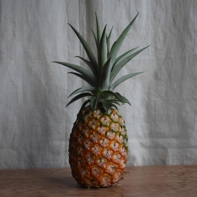 【有機JAS認証】サンドルチェ 約2kg(2～3玉)