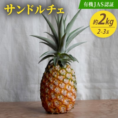 【有機JAS認証】サンドルチェ 約2kg(2～3玉)