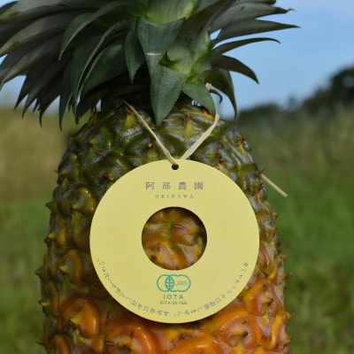 【有機JAS認証】サンドルチェ 約2kg(2～3玉)