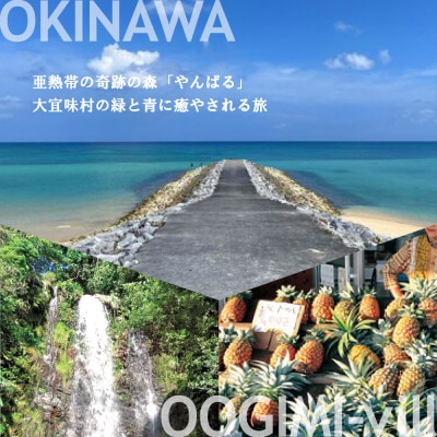沖縄ツアーやんばる長寿のさと大宜味村 後から選べる旅行Webカタログ旅行クーポン(60,000円分)