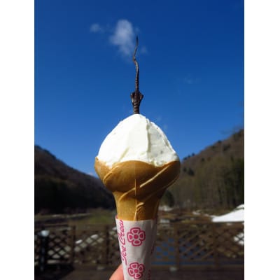 【檜枝岐村】村内飲食・お土産券3,000円分