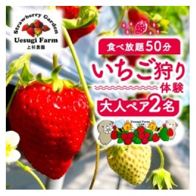 いちご狩り 大人2人 ペア利用券