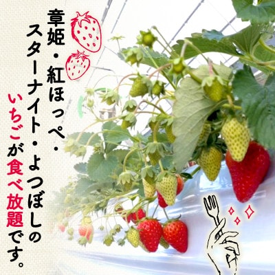 いちご狩り 大人2人 ペア利用券