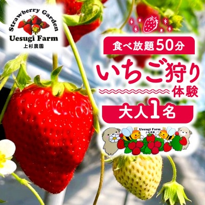 いちご狩り 大人1人 利用券