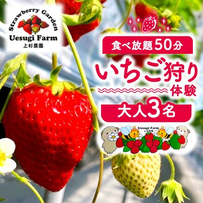 いちご狩り 大人3人 利用券