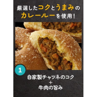 デニッシュ カレーパン 8個 セット 冷凍 揚げないパン 京都府八幡市