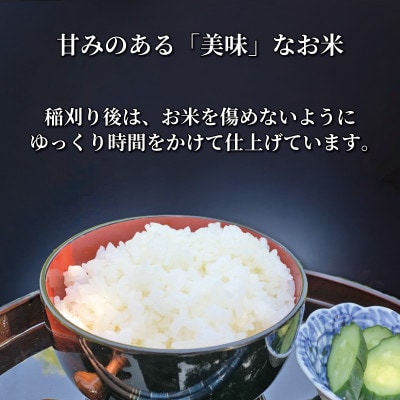 【先行予約】志水さかたけ米 (R)ヒノヒカリ 5kg×2袋