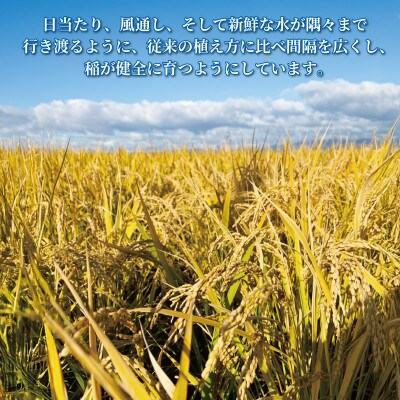 【先行予約】志水さかたけ米 (R)ヒノヒカリ 5kg×2袋
