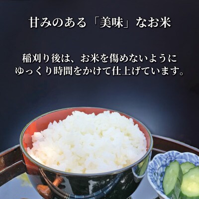 【先行予約】美味～Biimi(R)～2個入り×5セット