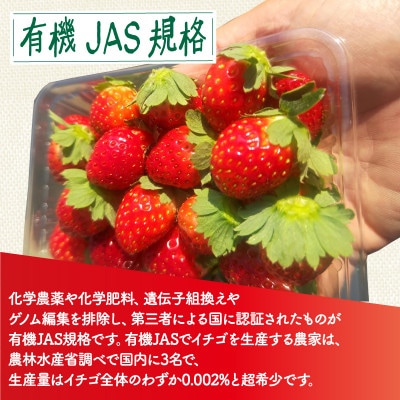 有機JAS認証いちご　瑠璃の宝箱　250g 4パック 化粧箱入り