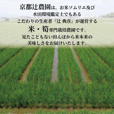 京都府八幡市産 食味鑑定米 石清水 白米 真空 2合×4パック入り(約1.2kg)