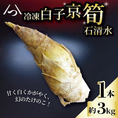 京都府八幡市産 白子京筍 石清水 1本 約3kg 冷凍