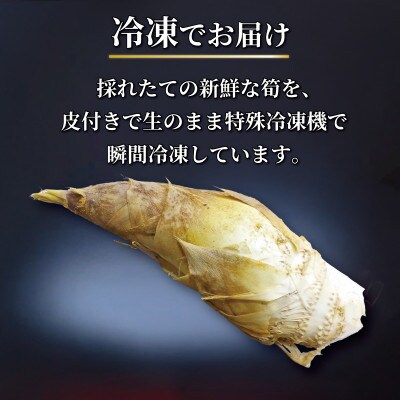 京都府八幡市産 白子京筍 石清水 1本 約2kg 冷凍