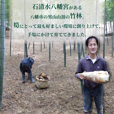 京都府八幡市産 白子京筍 石清水 1本 約4kg 冷凍