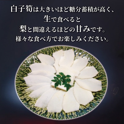 京都府八幡市産 白子京筍 石清水 1本 約4kg 冷凍
