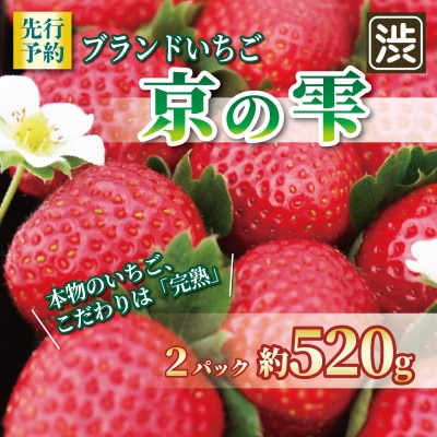 いちご 京の雫 2パック 約520g 260g×2パック