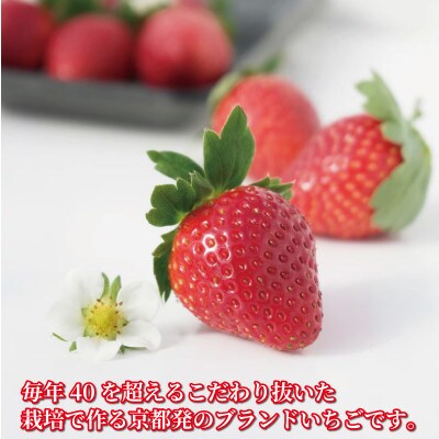 いちご 京の雫 2パック 約520g 260g×2パック