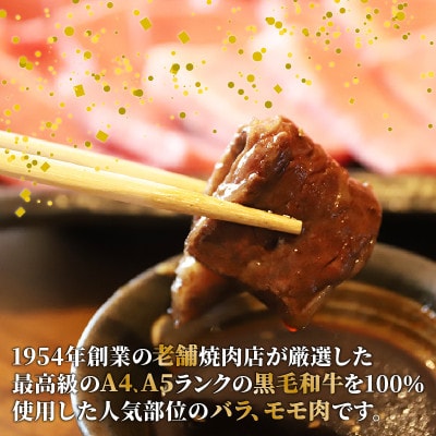 たれ漬け焼肉 バラ、モモ 計500g
