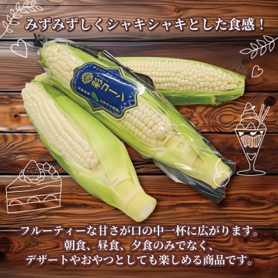 【先行予約】 彩コーン(ホワイトコーン) 約4kg 10本