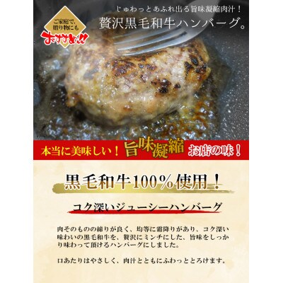 九州産黒毛和牛100%使用 手作りハンバーグ 150g×5個