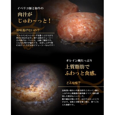 イベリコ豚と黒毛和牛のデリシオソハンバーグ 150g×8個