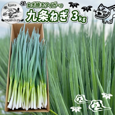 京都府八幡市産 九条ねぎ 3kg とらこ ねぎ焼きタイガー