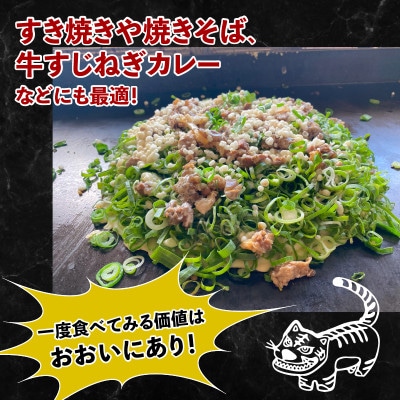 京都府八幡市産 九条ねぎ 3kg とらこ ねぎ焼きタイガー