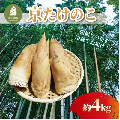 京たけのこ(白子たけのこ) 約4kg 冷蔵　京都府八幡市産