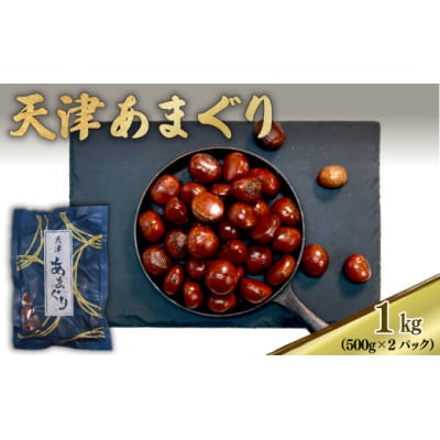 新栗 天津甘栗 容量 1kg 京都 完熟 殻付き栗