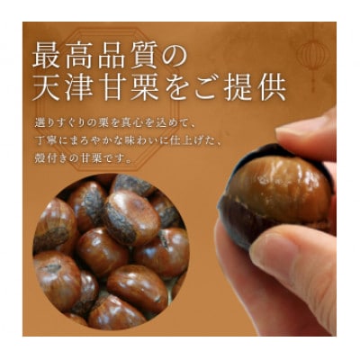 新栗 天津甘栗 容量 1kg 京都 完熟 殻付き栗