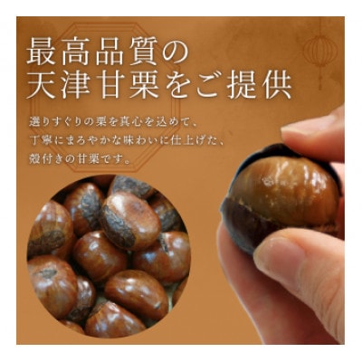 新栗 天津甘栗 容量 1.5kg 京都 完熟 殻付き栗