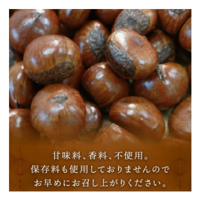 新栗 天津甘栗 容量 1.5kg 京都 完熟 殻付き栗