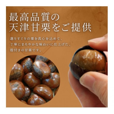 新栗 天津甘栗 容量 700g 京都 完熟 殻付き