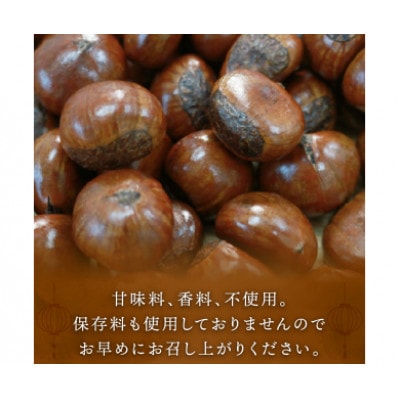 新栗 天津甘栗 容量 700g 京都 完熟 殻付き