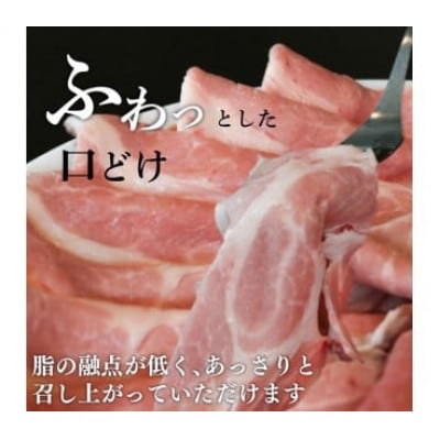 ローストポーク スライス 約320g 茶美豚 ブランド豚肉 京都 八幡市 冷凍 ギフトにおすすめ