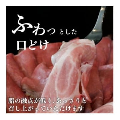 【食べ比べセット】 ローストビーフ ローストポーク スライス 計約400g(各200g)
