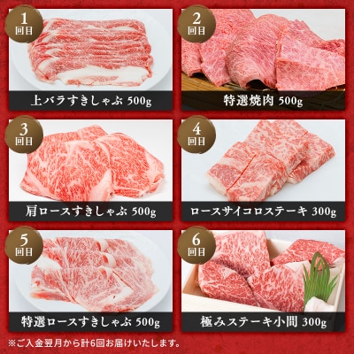 神戸牛 牝 6か月連続 お届け 定期便 食べ比べ 焼肉[No5698-1523]