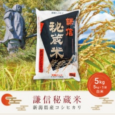 謙信秘蔵米5kg(精米)