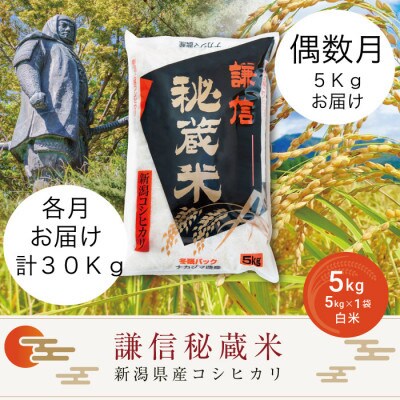 【発送月固定定期便】謙信秘蔵米5kg(精米)【偶数月】全6回