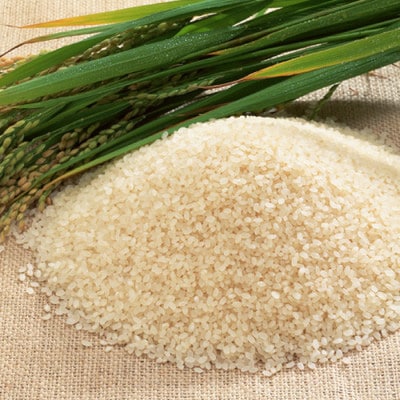 【発送月固定定期便】謙信秘蔵米5kg(精米)【奇数月】全6回