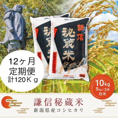 【毎月定期便】＜12ヶ月連続＞謙信秘蔵米(精米)10kg全12回