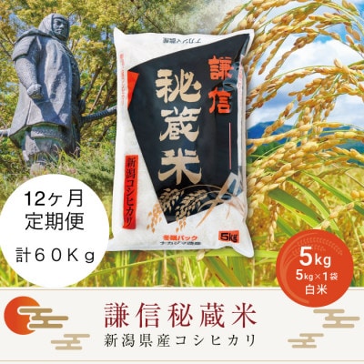 【毎月定期便】＜12ヶ月連続＞謙信秘蔵米(精米)5kg全12回