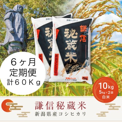 【毎月定期便】＜6ヶ月連続＞謙信秘蔵米(精米)10kg全6回
